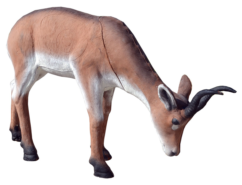 3D Antilope