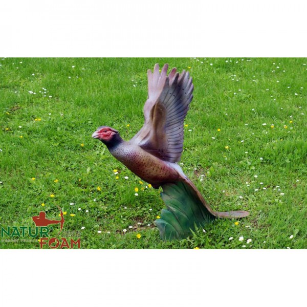 NF fleeing pheasant