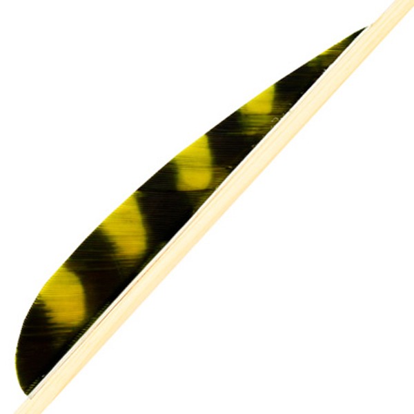 3 inch parabolic natural feather striped RW