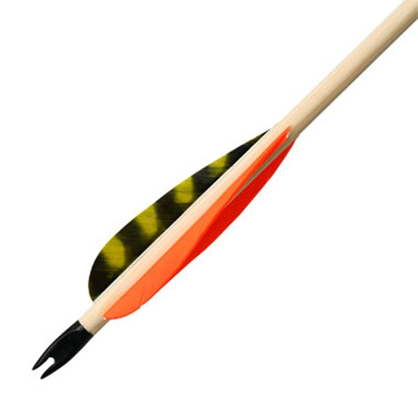 5/16 prefabricated arrow with 5 "fletching Feathers: 2 x monochrome, 1 x striped