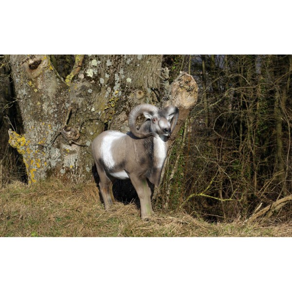 NF mouflon