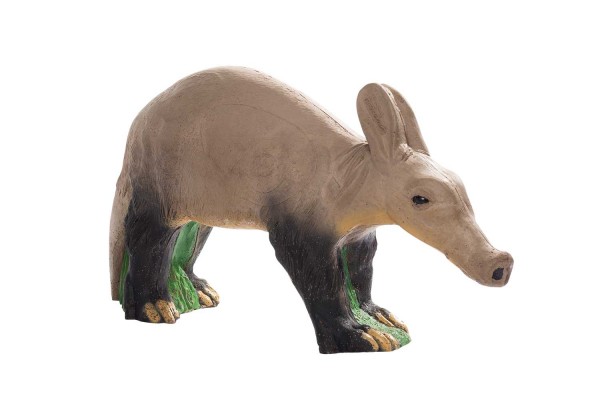 IBB 3D animal aardvark