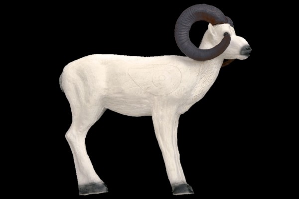 Leitold 3D Target Standing Dall Sheep