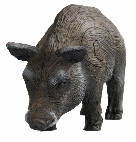3D Target Boar of Longlife
