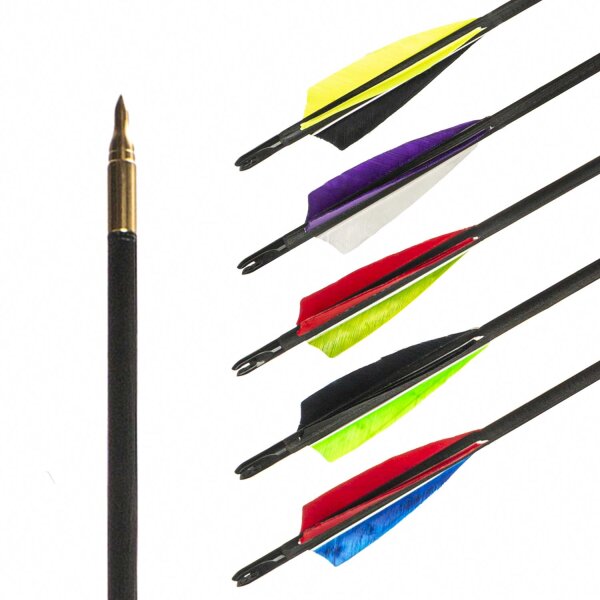 Standard wooden arrow with 3 x single-coloured feathers Diameter: 11/32 Spine value: 61-65 Arrow length: 31 inches Nock: Snap-On 11/32 3D brass screw - arrowhead 11/32 125 grain Feather size: 5 inches