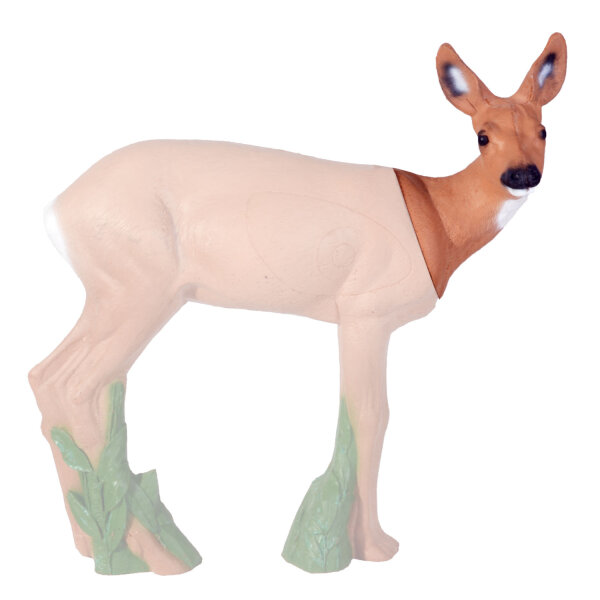 IBB 3D Tier Rehkopf nach rechts schauend