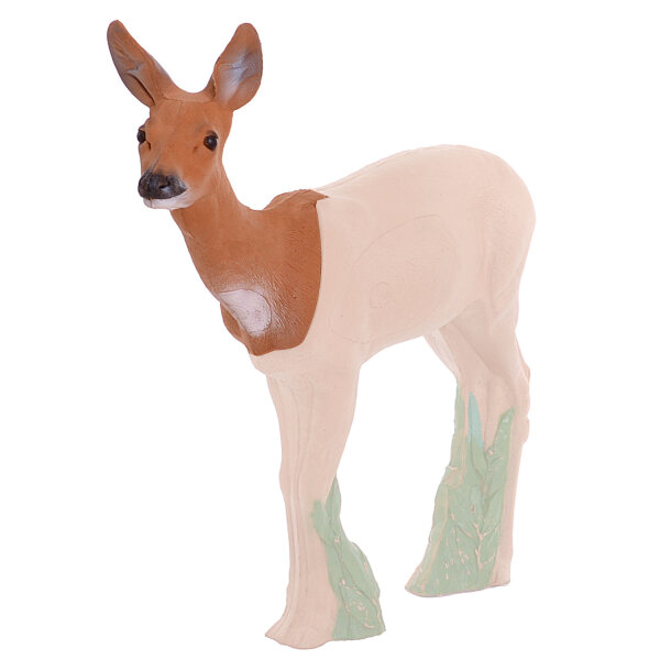 IBB 3D Tier Rehhaupt