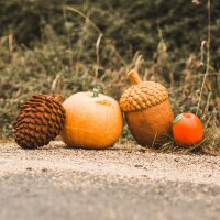 IBB 3D Ziel Herbstset Sommerzapfen