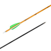 Shocq Carbonpfeil Inceptor 4.2 mit Fletchen 500