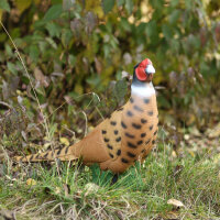 IBB 3D Tier Edelfasan