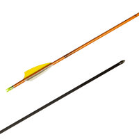 Carbonarrow Inceptor 1000 4.2 with Fletches
