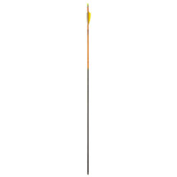Carbonarrow Inceptor 1000 4.2 with Fletches