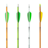 Carbonarrow Inceptor 1000 4.2 with Fletches