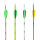Carbonarrow Inceptor 1000 4.2 with Fletches