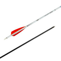 Carbonpfeil Inceptor 600 4.2 with natural feathers