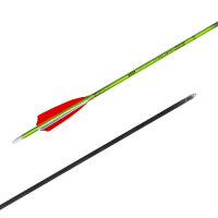 Carbonpfeil Inceptor 600 4.2 with natural feathers