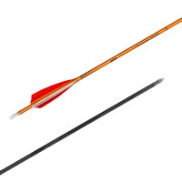 Shocq Carbonpfeil Inceptor 4.2 mit Naturfedern 700