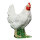 IBB 3D Tier Henne Weiß