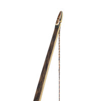 Longbow Palm