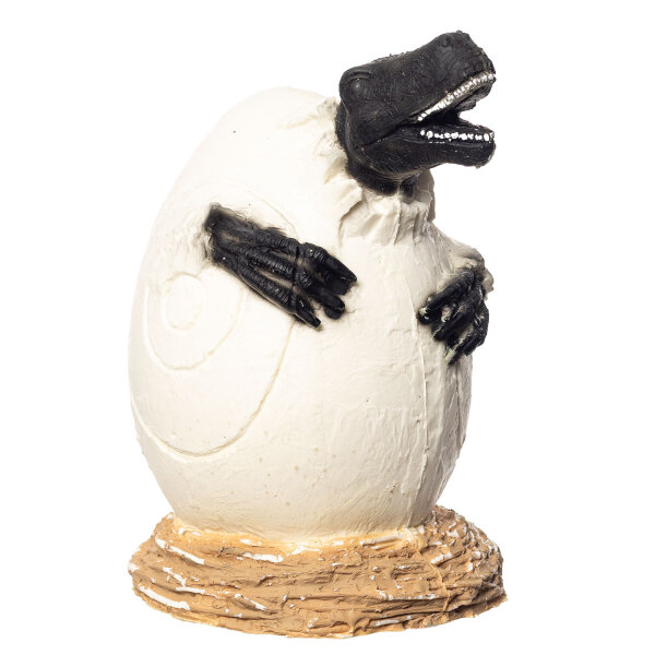 IBB 3D Tier Dark Raptor - Ei