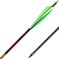 Velocity Carbon Arrow by Gold Tip with Arizona Plastic...