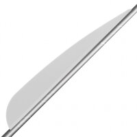 4 Zoll Arizona Plastikfletchen