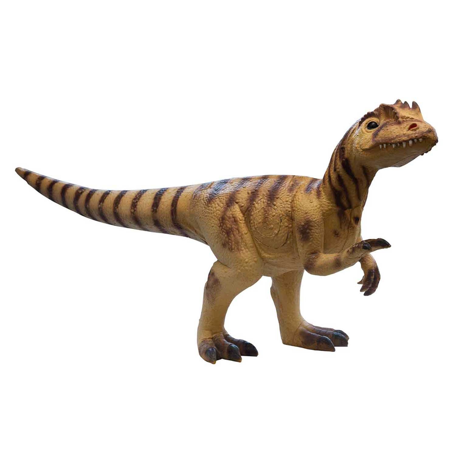 Raptor / Dino