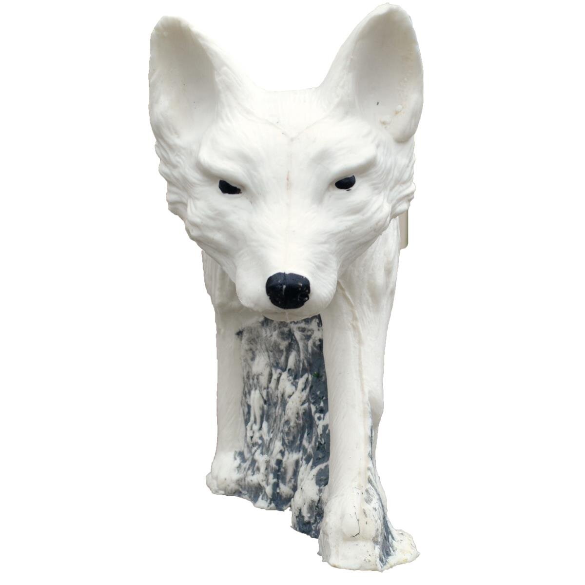 Polarfuchs