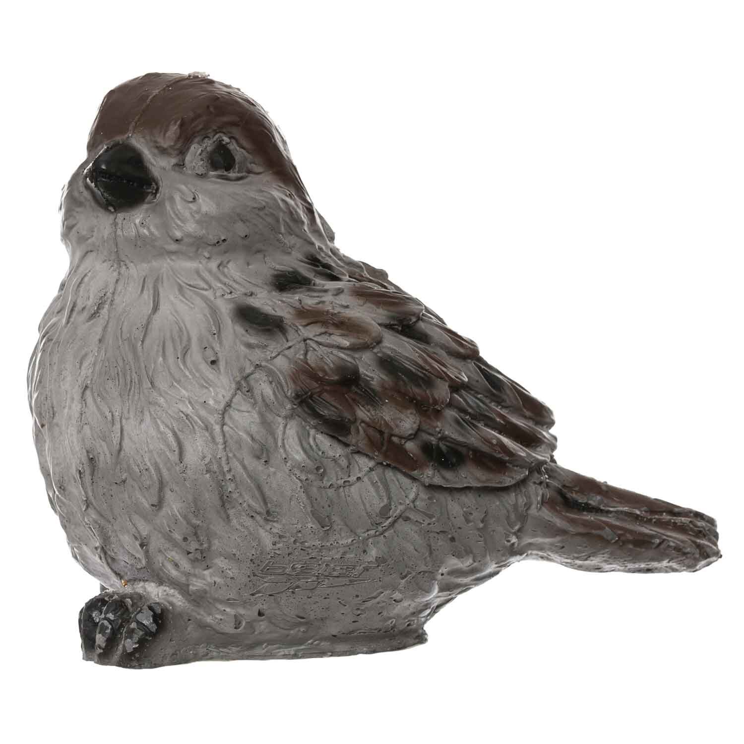 Vogel / Spatz / Sperling