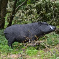 3D Tier Delta Keiler - Wildsau