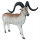 Leitold 3D Target Marco Polo Sheep [Freight Shipping]