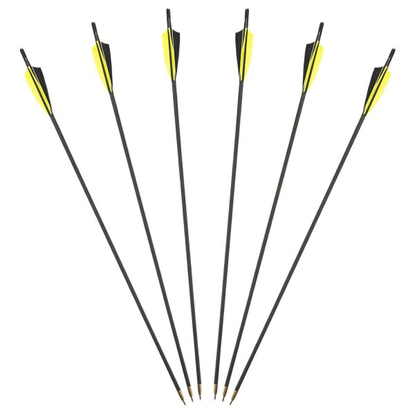 Pack of 6 standard wooden arrows with 3 x single-coloured feathers Design Diameter: 5/16 Spine value: 20-25 Arrow length: 28 inches Nock: Snap-On 5/16 3D brass screw - Arrowhead: 5/16 70 grain Feather size: 4 inches