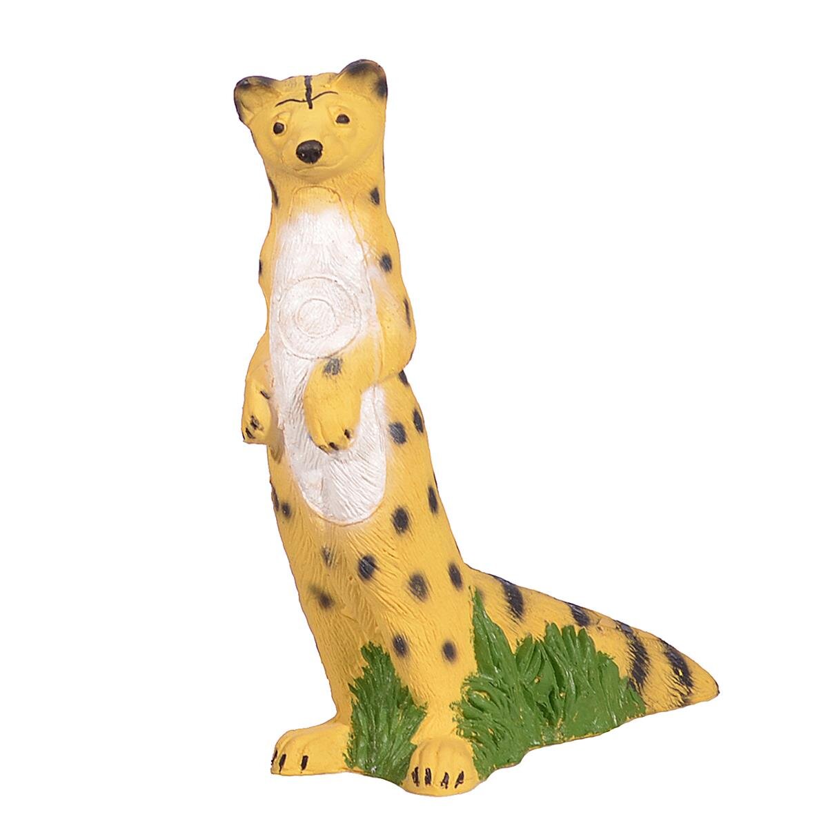 Ginsterkatze