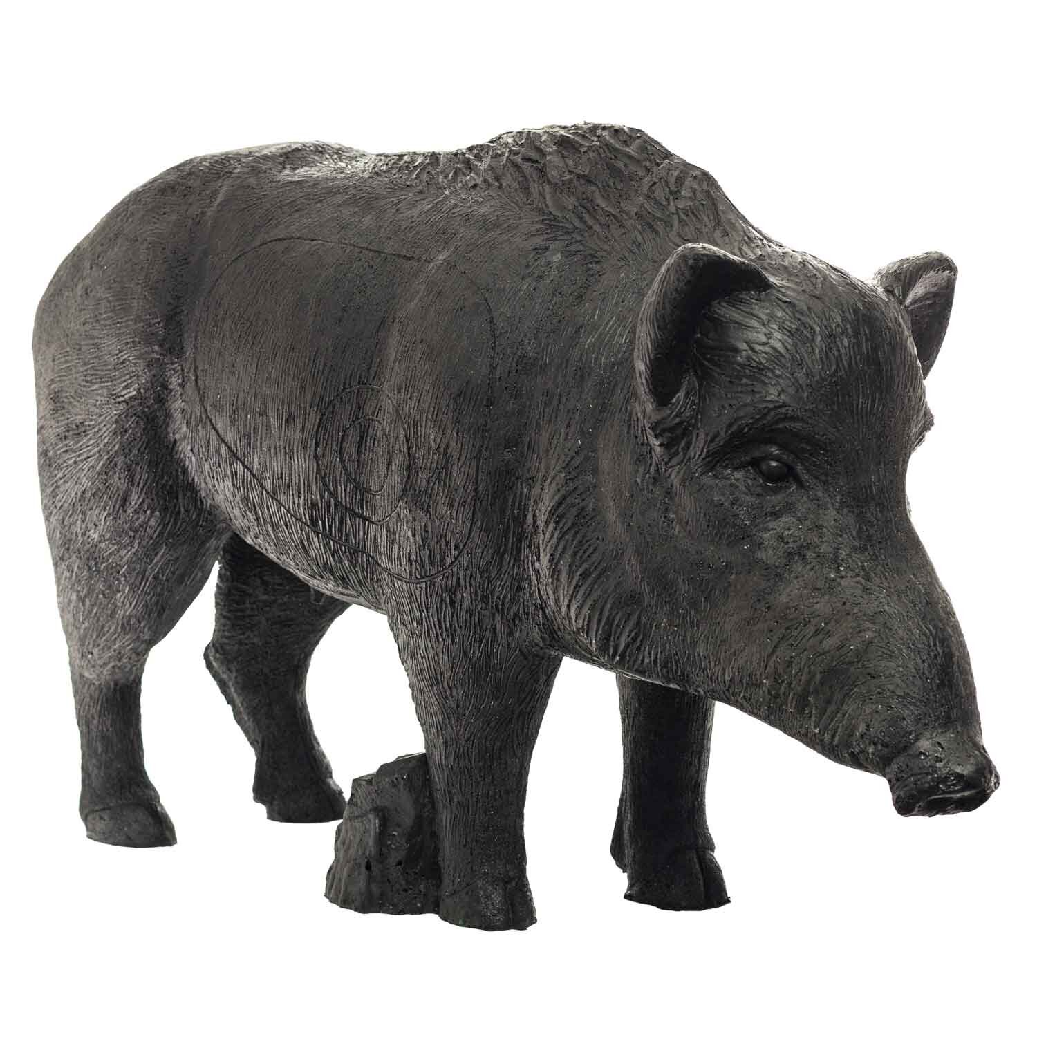 Bache / Wildschwein