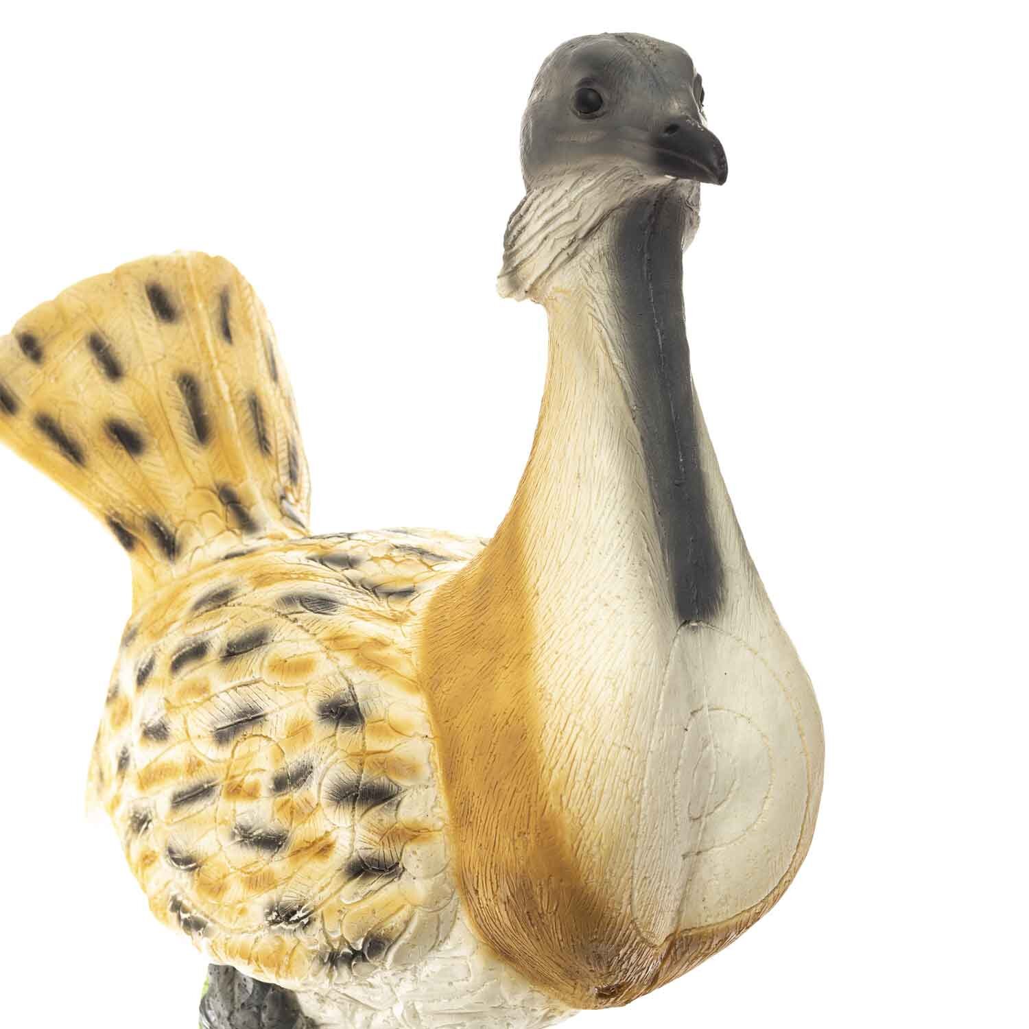 Trappe / Vogel