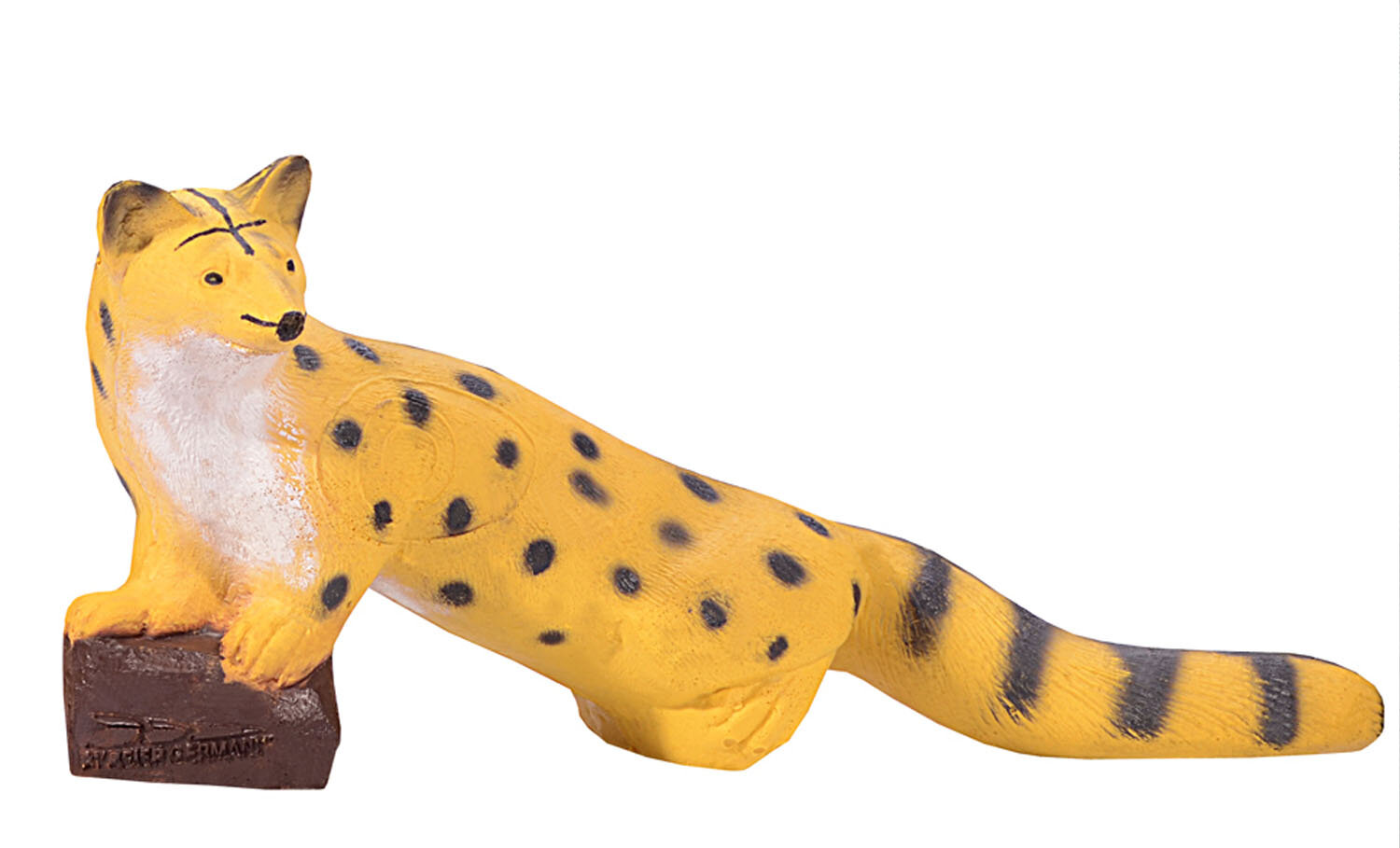 Ginsterkatze