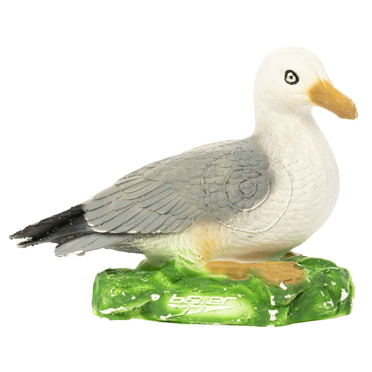 Möwe / Vogel