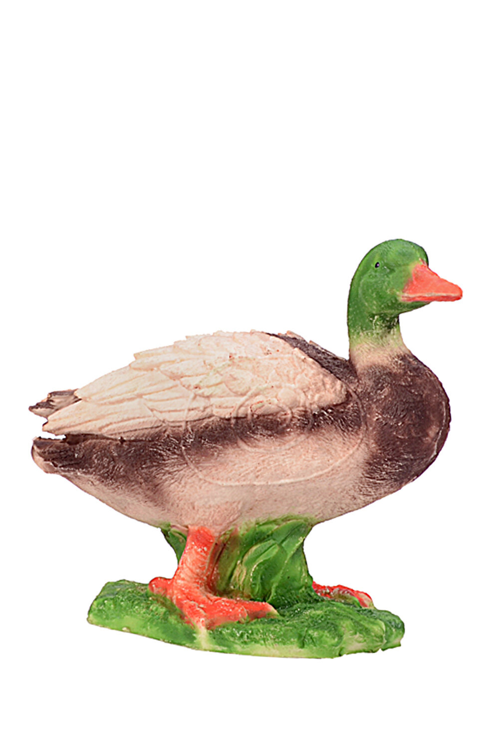 Erpel / Ente / Stockente