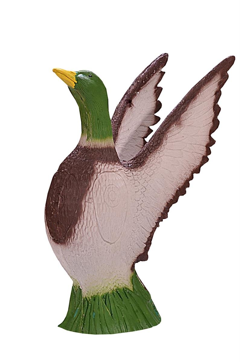 Ente / Stockente