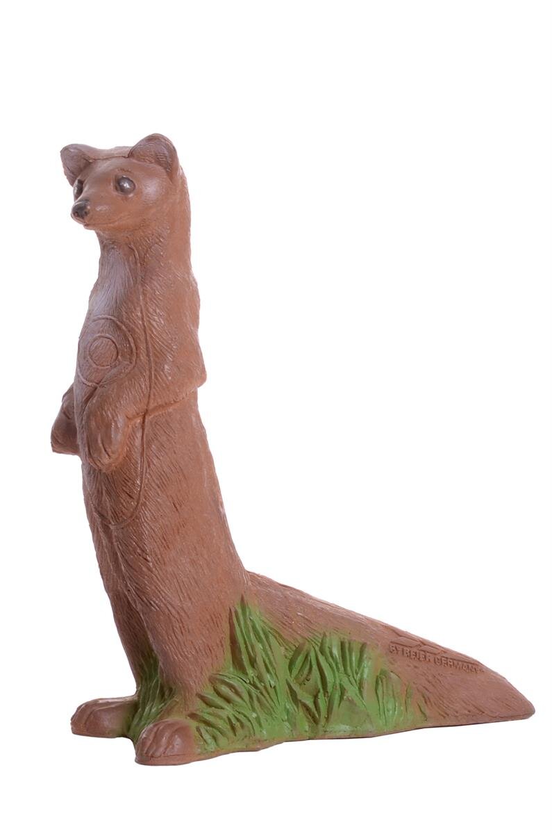 Steinmarder