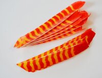 Naturfeder, Volle Länge brighted-gestreift RW Farbe der Feder orange-chartreuse gestreift