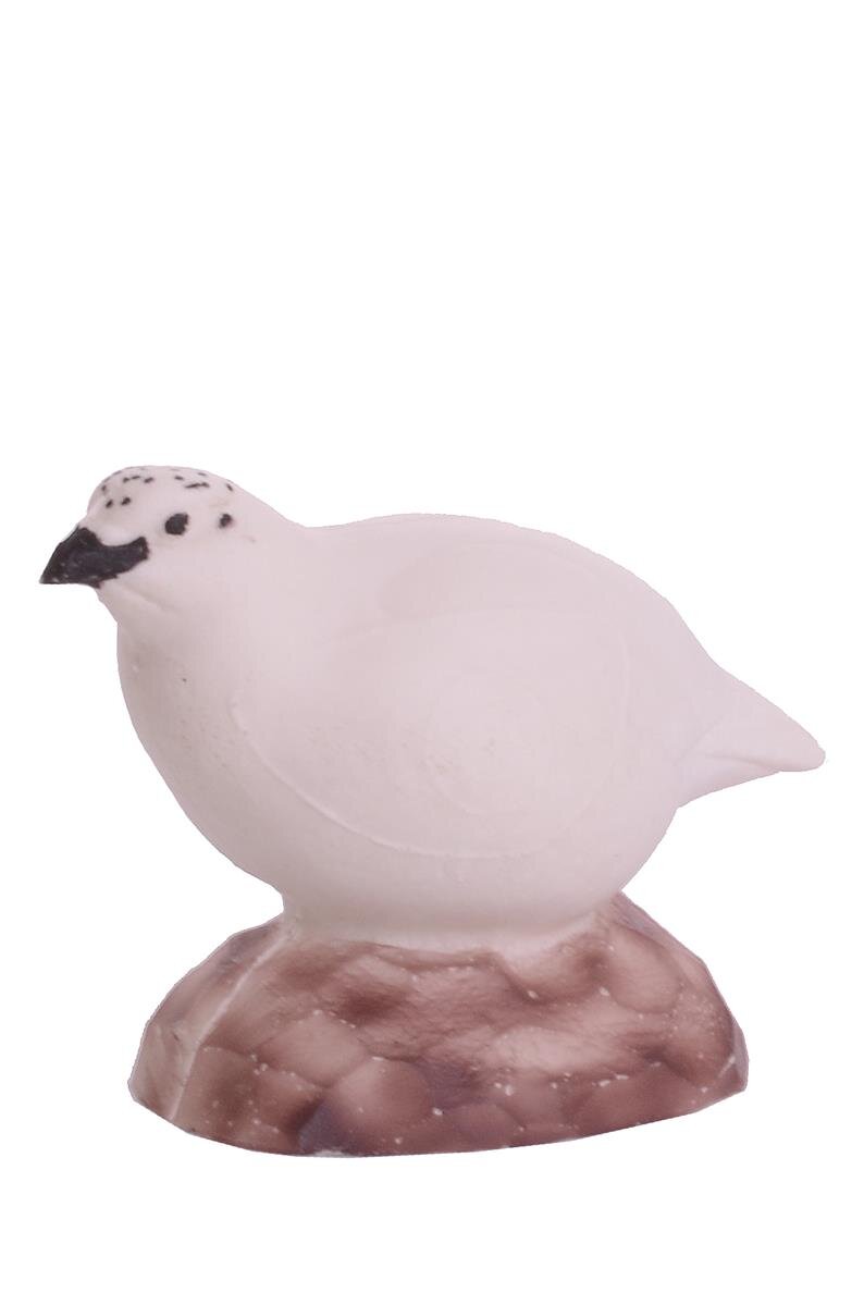 Schneehuhn - Henne