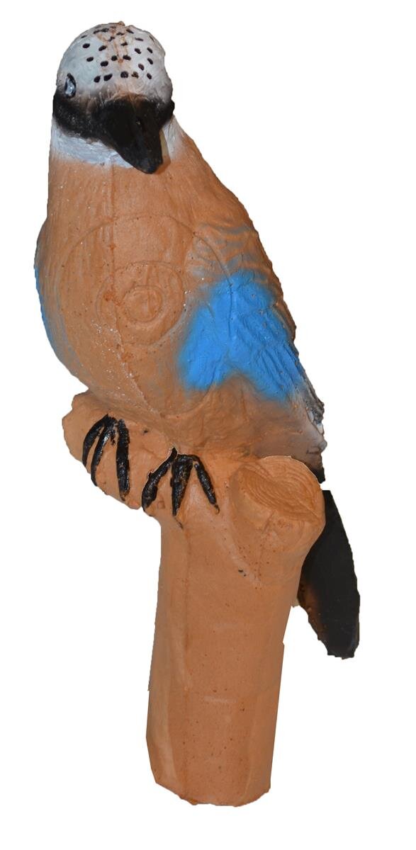 Eichelhäher / Vogel