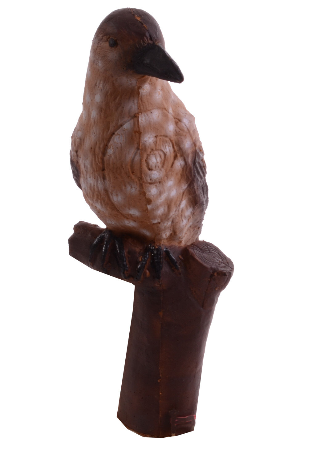 Tannenhäher / Vogel