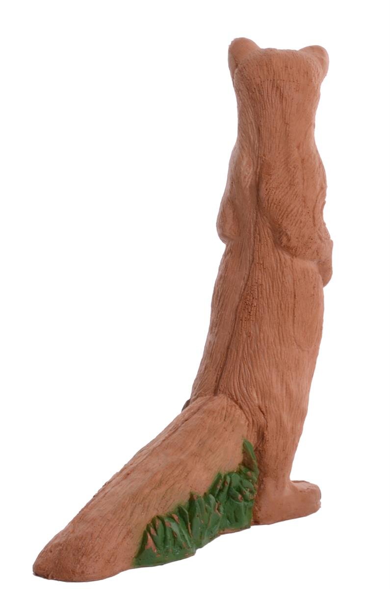 Baummarder