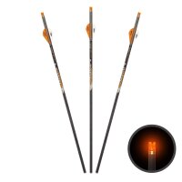 Demo Item - Pack of 3 Ravin Carbon crossbow bolts with...