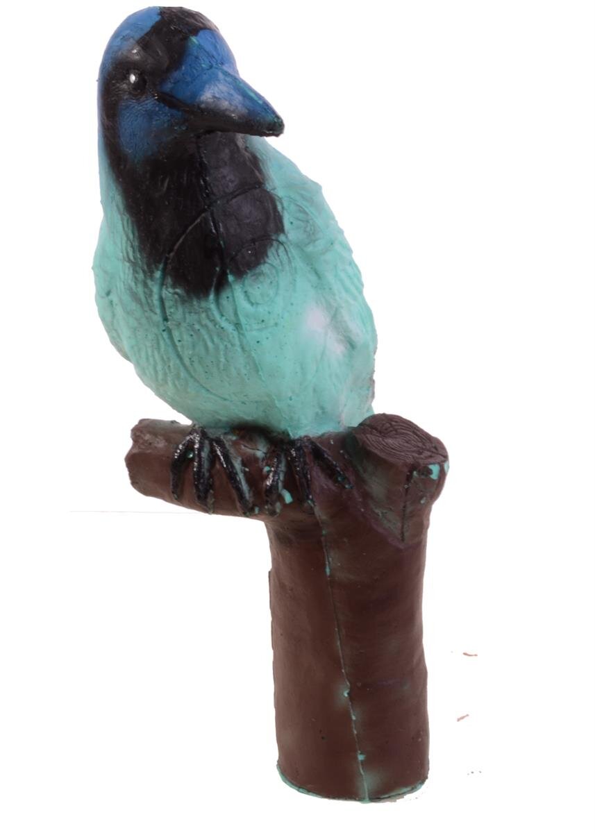 Grünhäher / Vogel