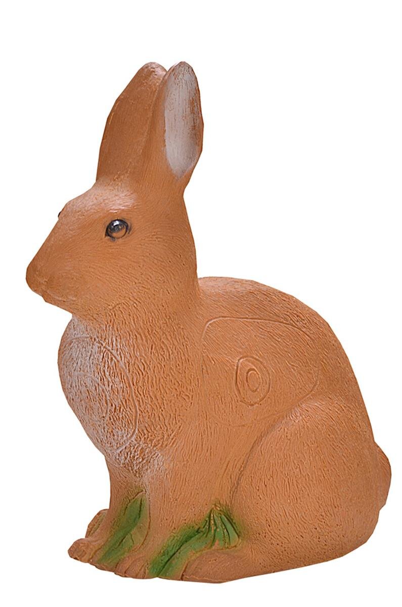 Hase