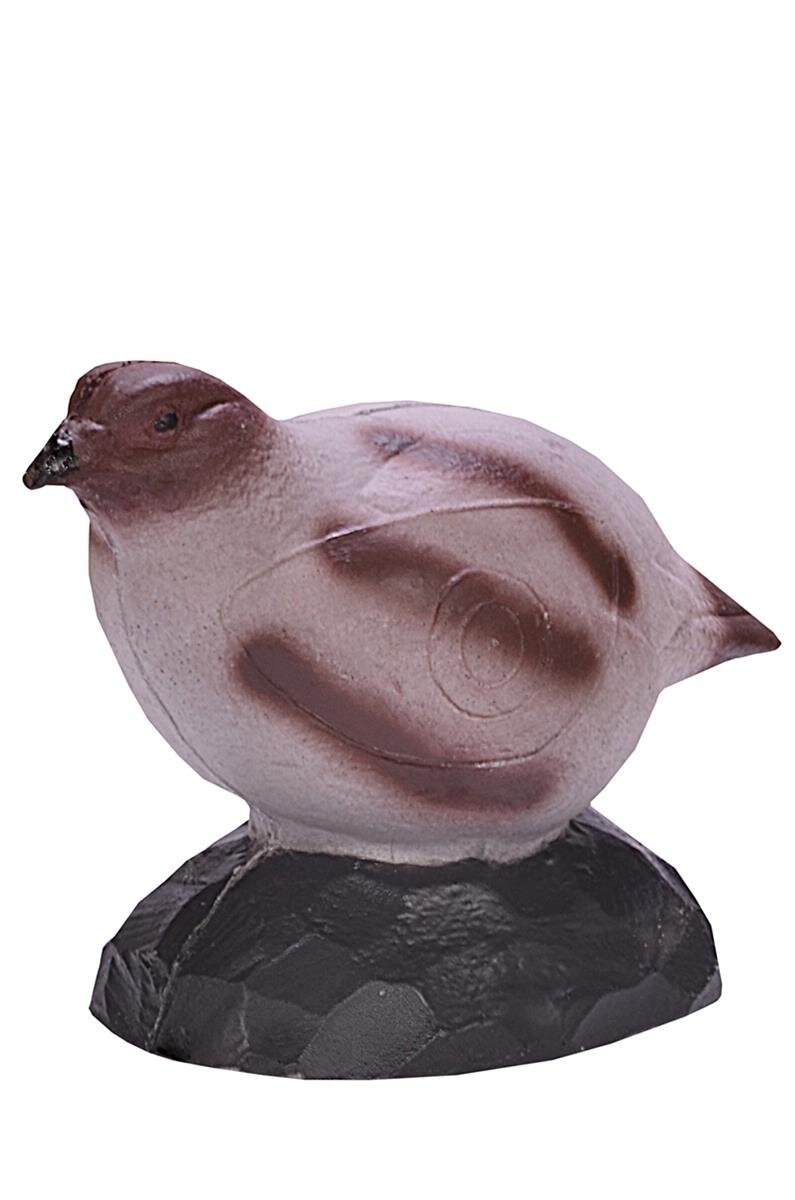 Rebhuhn Henne
