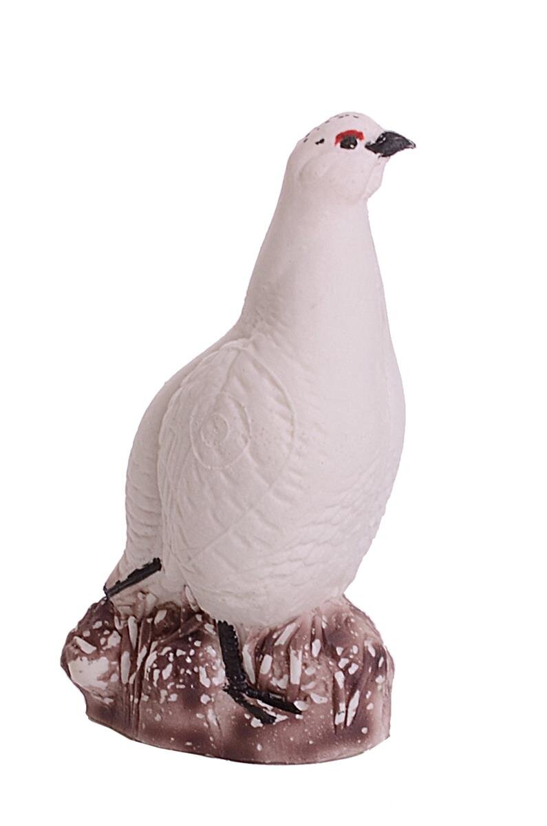 Schneehuhn / Hahn / Vogel